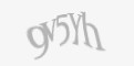 Защитный код