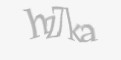 Защитный код