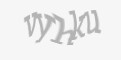 Защитный код